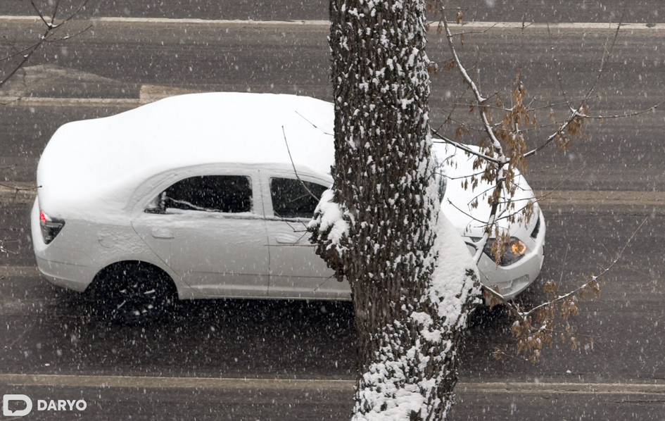 Ўзбекистонда 2026 йил январида қандай об-ҳаво бўлади? 